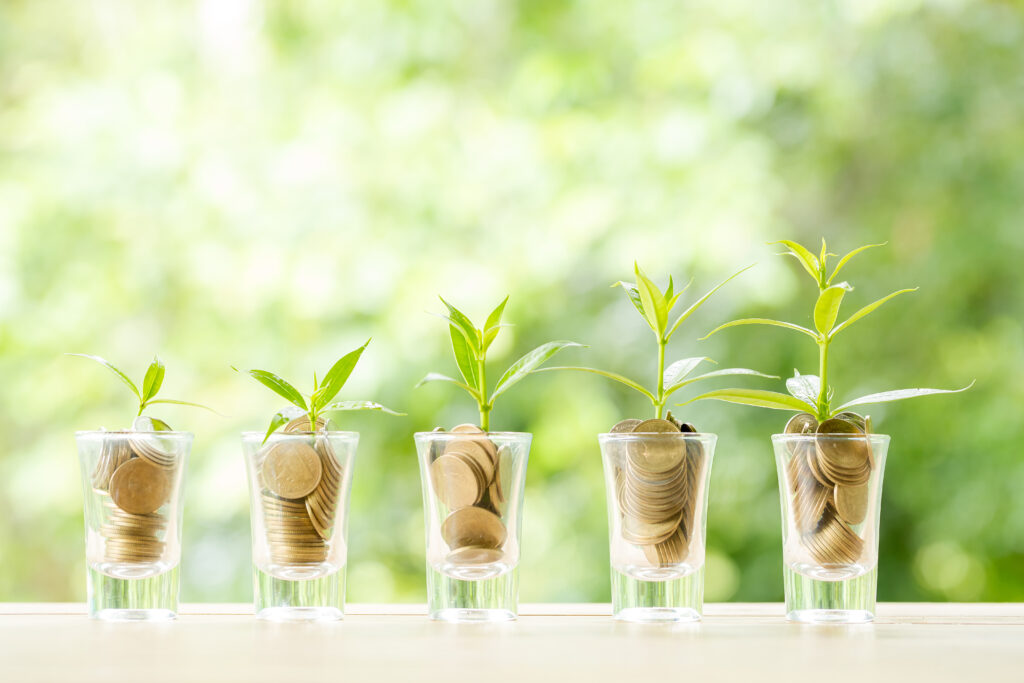 pièces dans un verre où une plante pousse. Aides cumulables pour travaux énergetiques